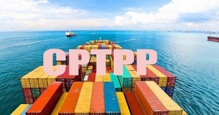 Bộ Công Thương làm cơ quan đầu mối triển khai Hiệp định CPTPP