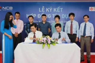 NCB cấp 450 tỷ đồng hạn mức cho Công ty Nông nghiệp Thuận Phát
