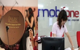 Thanh tra Chính phủ đề nghị khởi tố vụ Mobifone mua AVG