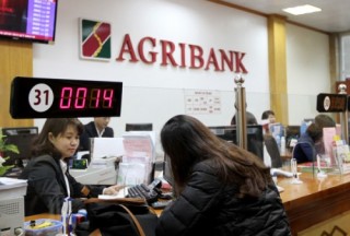 Agribank ưu đãi lãi suất đối với DN xuất khẩu