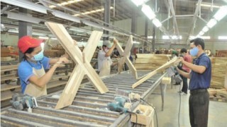 Ngành gỗ xây dựng thương hiệu để xuất khẩu