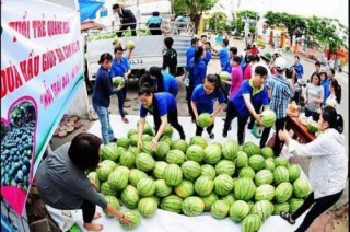 Liên kết để giảm giải cứu