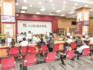 Agribank chi nhánh Vĩnh Phúc II: Hỗ trợ khách hàng vượt qua đại dịch