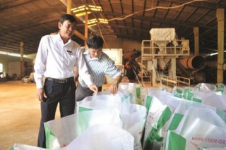 Agribank Bình Định: Cùng làm giàu với khách hàng