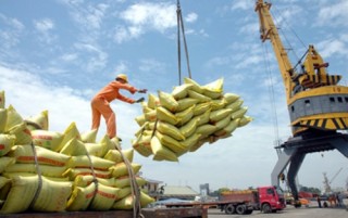 Tìm cách giữ thị trường cho gạo Việt