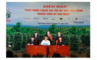VietABank tài trợ vốn chế biến xuất khẩu hồ tiêu tỉnh Đăk Nông