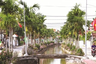 Nam Định: Đưa tín dụng thành động lực thúc đẩy nông thôn mới