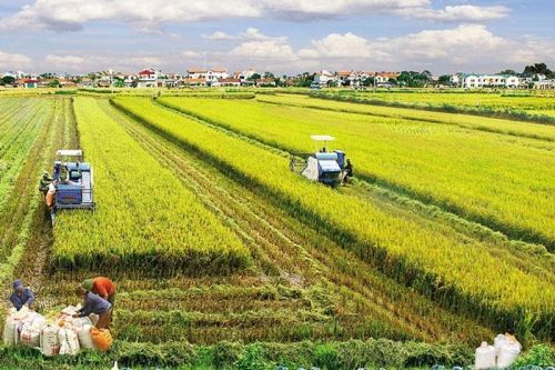 Tích tụ để làm ăn lớn