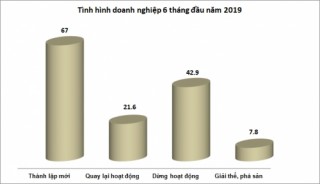 Bức tranh doanh nghiệp 6 tháng: Lạc quan trong khó khăn