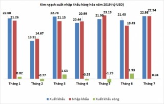 Tháng 7/2019 xuất siêu nhẹ 43 triệu USD