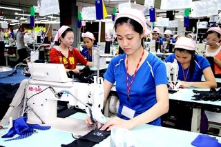 46,4% số doanh nghiệp đang hoạt động nhưng chưa tham gia BHXH