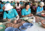 Xuất khẩu thực phẩm vào Mỹ: Cơ hội nâng cao chất lượng hàng hóa Việt