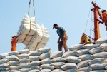 Xuất khẩu gạo sang châu Phi: Bất lợi vì phải qua trung gian