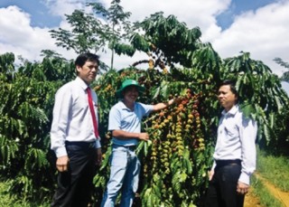 Đăk Nông - Đất lành chim đậu