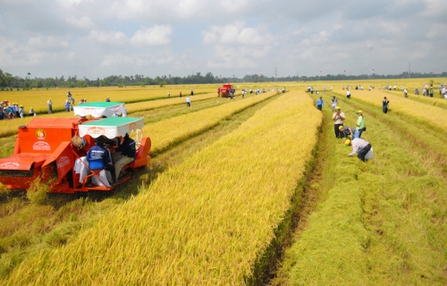 Cần “Khoán Mười” một lần nữa