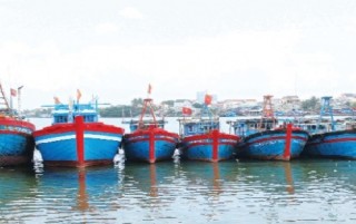 BIDV Quảng Nam: Nỗ lực với “tàu sáu bảy”