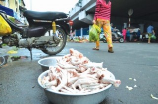 Thực phẩm sạch lúng túng tìm đầu ra