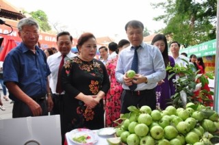 Cuộc vận động “Người Việt Nam ưu tiên dùng hàng Việt Nam”: Chuyển từ vận động sang chinh phục