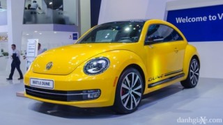 Chi tiết Volkswagen BeetleDune