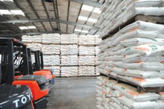 Nâng chất lượng gạo để xuất khẩu bền vững