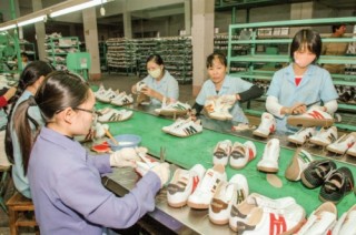 Thương mại bền vững: Việt Nam đang ở đâu?