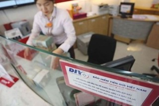 Bảo hiểm tiền gửi Việt Nam: Từ những hạt giống niềm tin